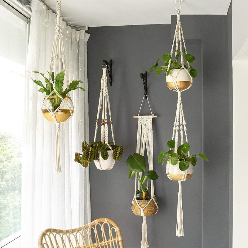 Plants & Peace Collection | The Serenity Spot - Cultivate Tranquility Outdoors