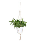 Evergreen Macrame Plant Hanger