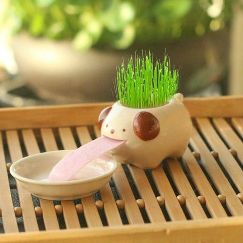 Whimsy Sprouts Mini Planter Pals