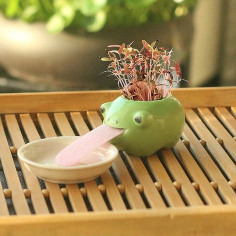 Whimsy Sprouts Mini Planter Pals