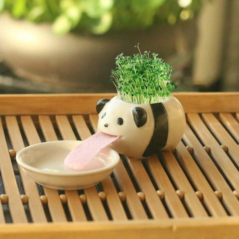 Whimsy Sprouts Mini Planter Pals