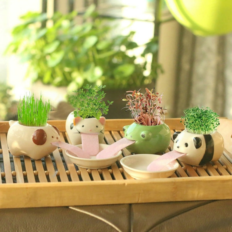 Whimsy Sprouts Mini Planter Pals
