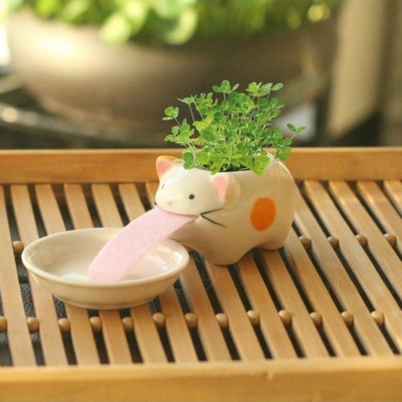 Whimsy Sprouts Mini Planter Pals