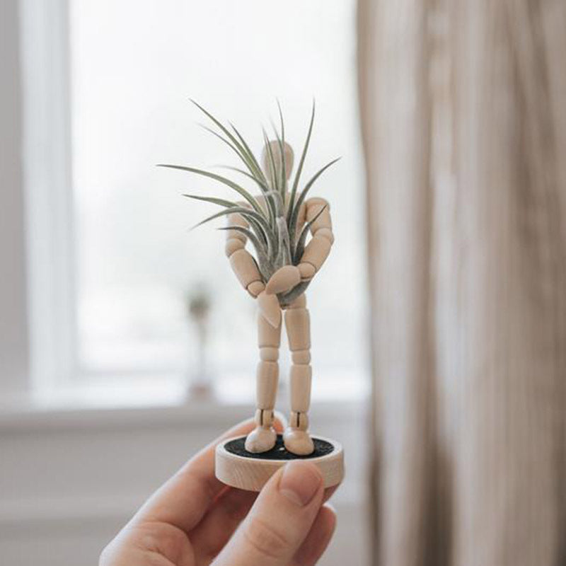 Creative Rotating Arrangement Plant Flower Device