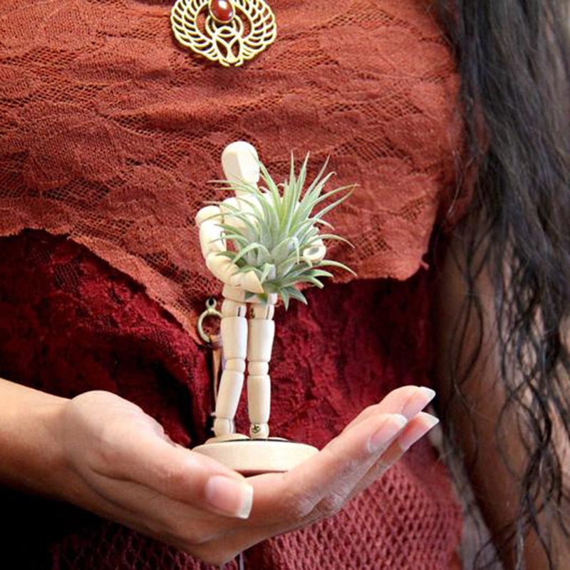 Creative Rotating Arrangement Plant Flower Device