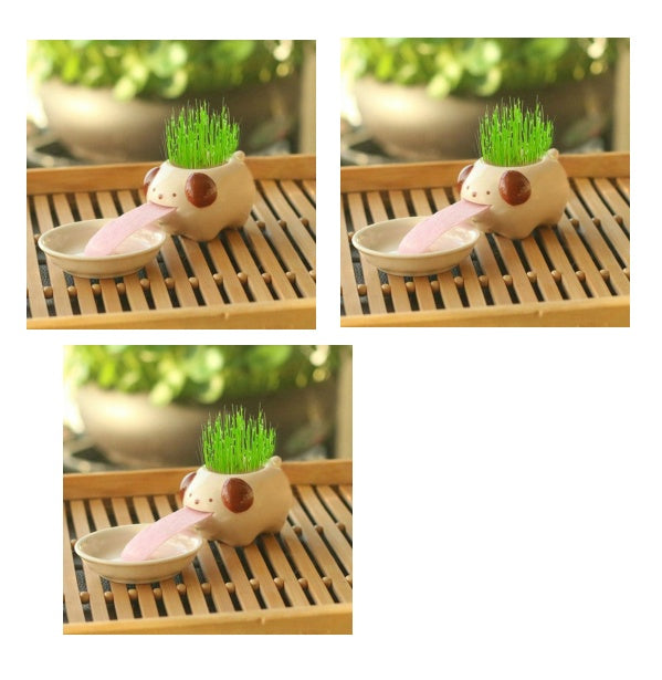 Whimsy Sprouts Mini Planter Pals