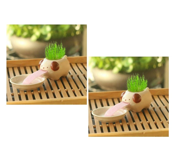 Whimsy Sprouts Mini Planter Pals