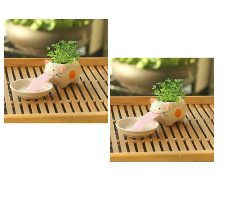 Whimsy Sprouts Mini Planter Pals