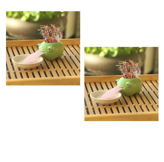 Whimsy Sprouts Mini Planter Pals