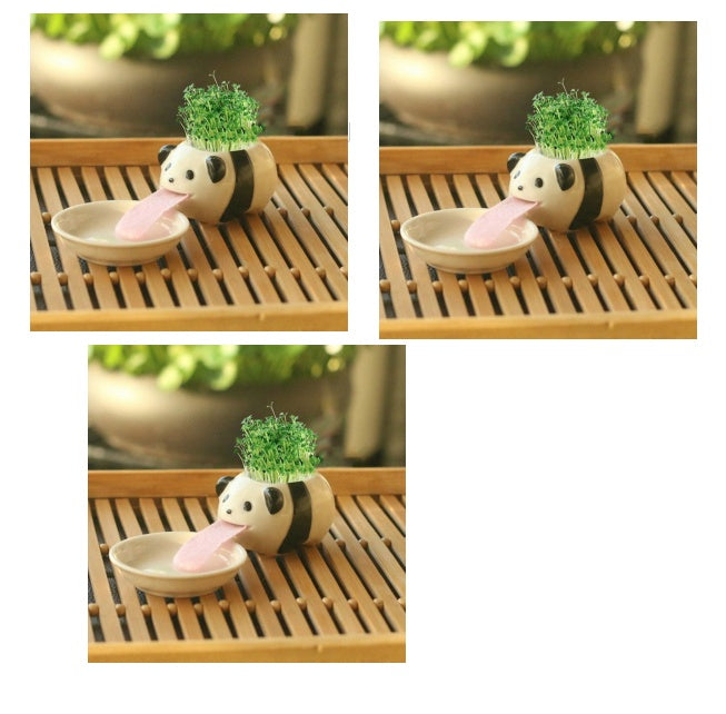 Whimsy Sprouts Mini Planter Pals