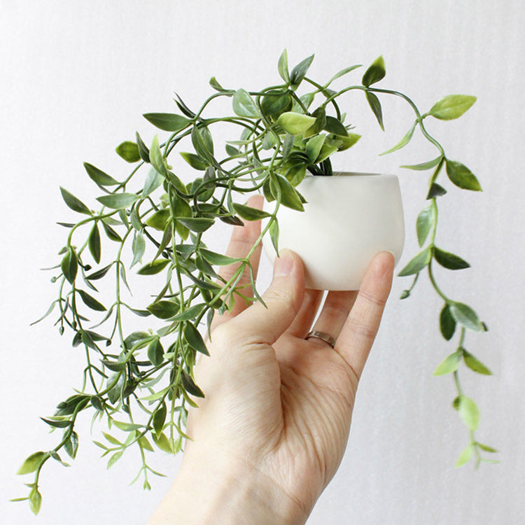 Botanical Buddies Fridge Magnets