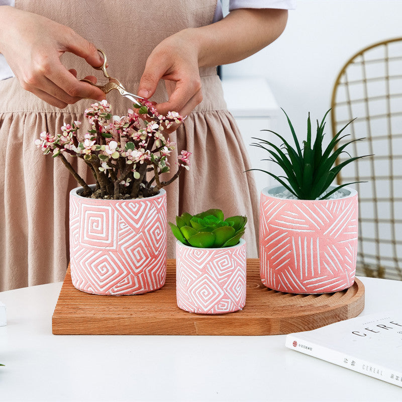 Simply Rooted Succulent Pot