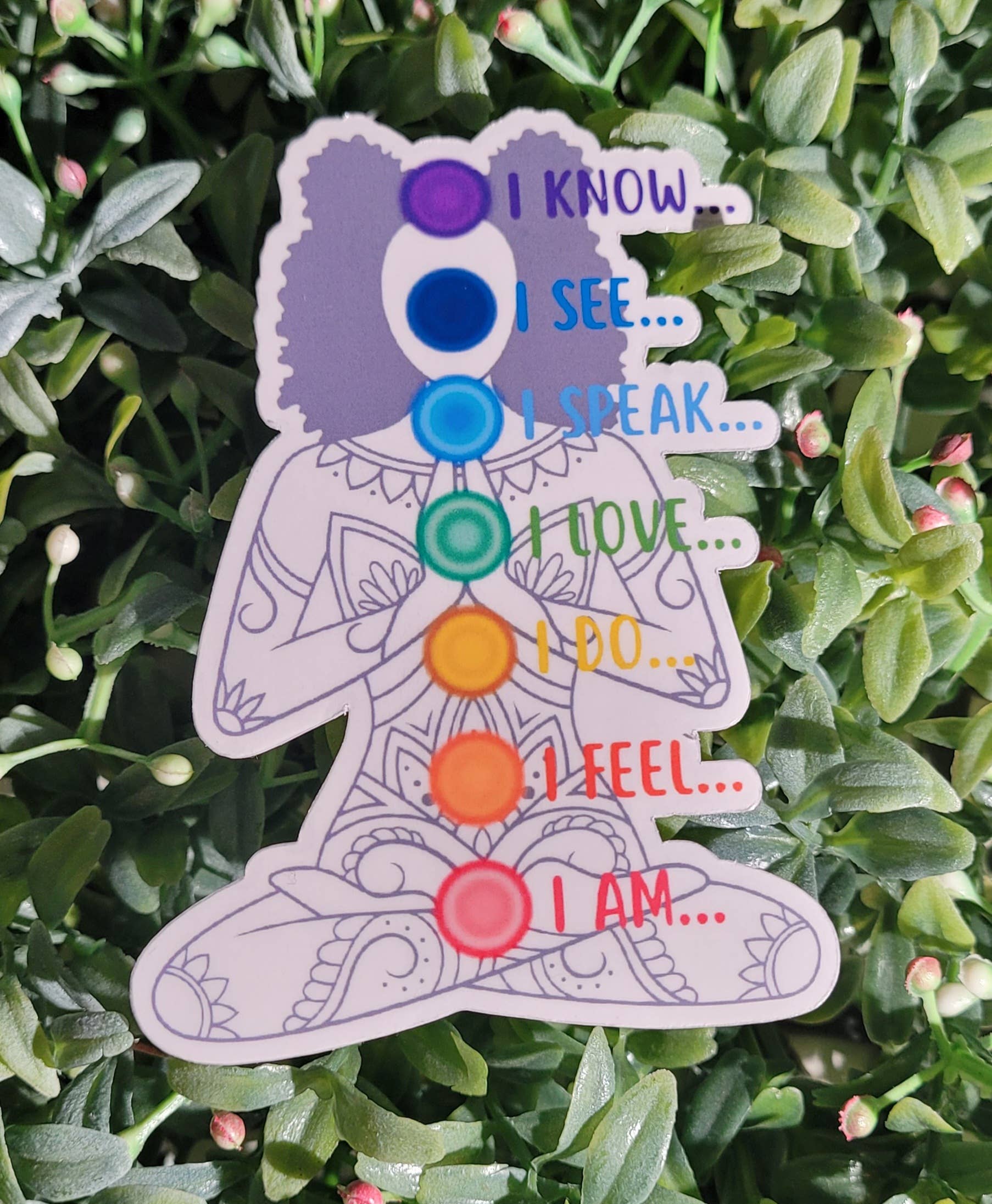 Chakra Women Transparent Sticker