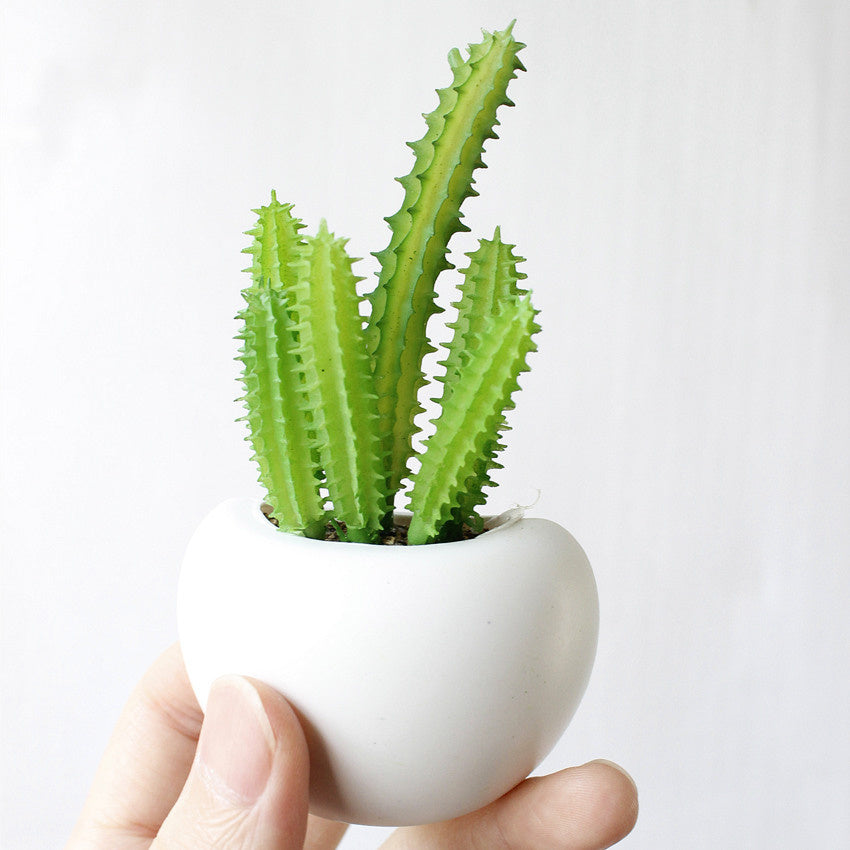 Botanical Buddies Fridge Magnets