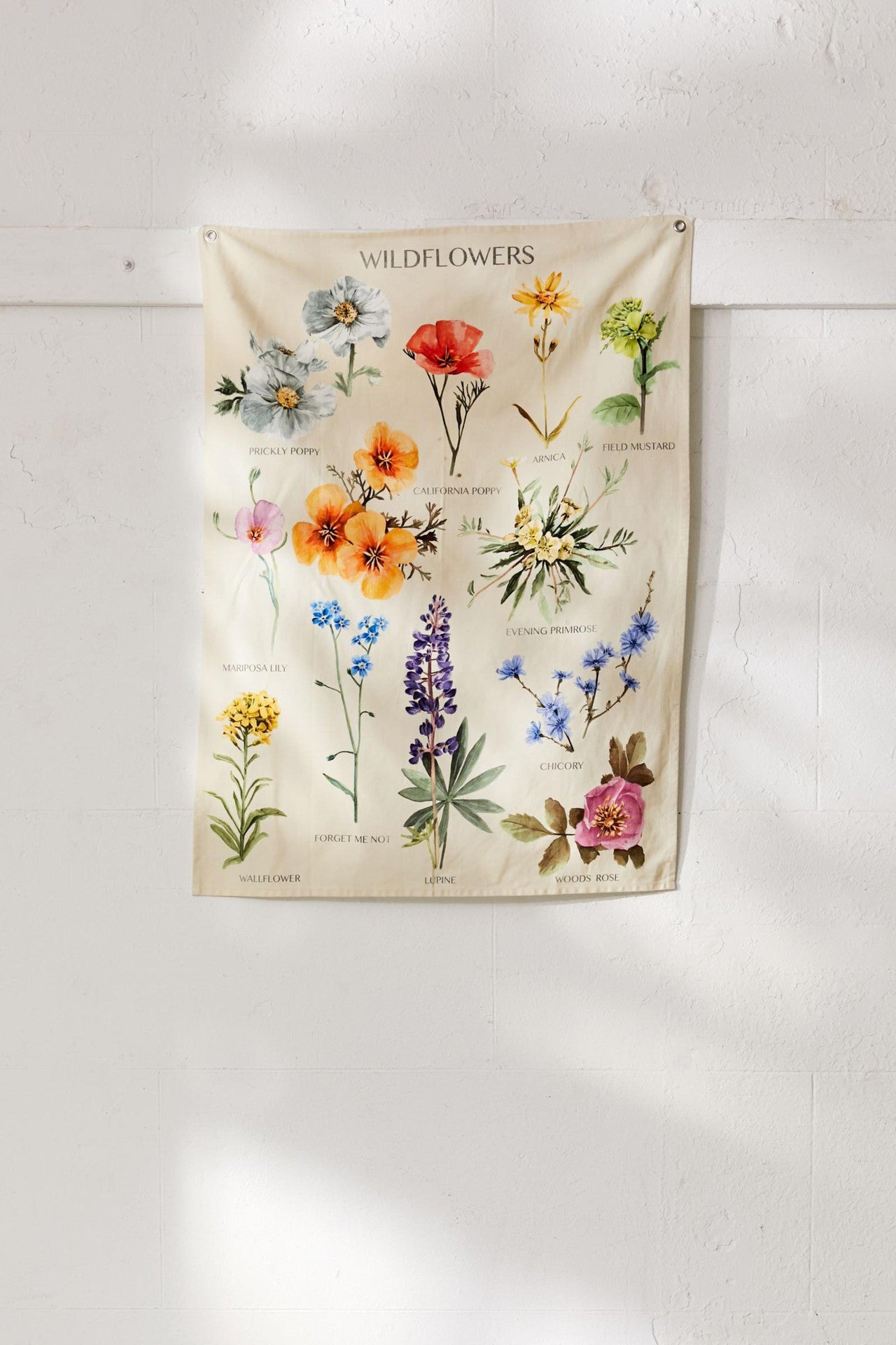 Meadow Dreams Wildflower Wallpaper