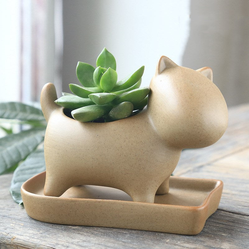 Stoneware potted plant