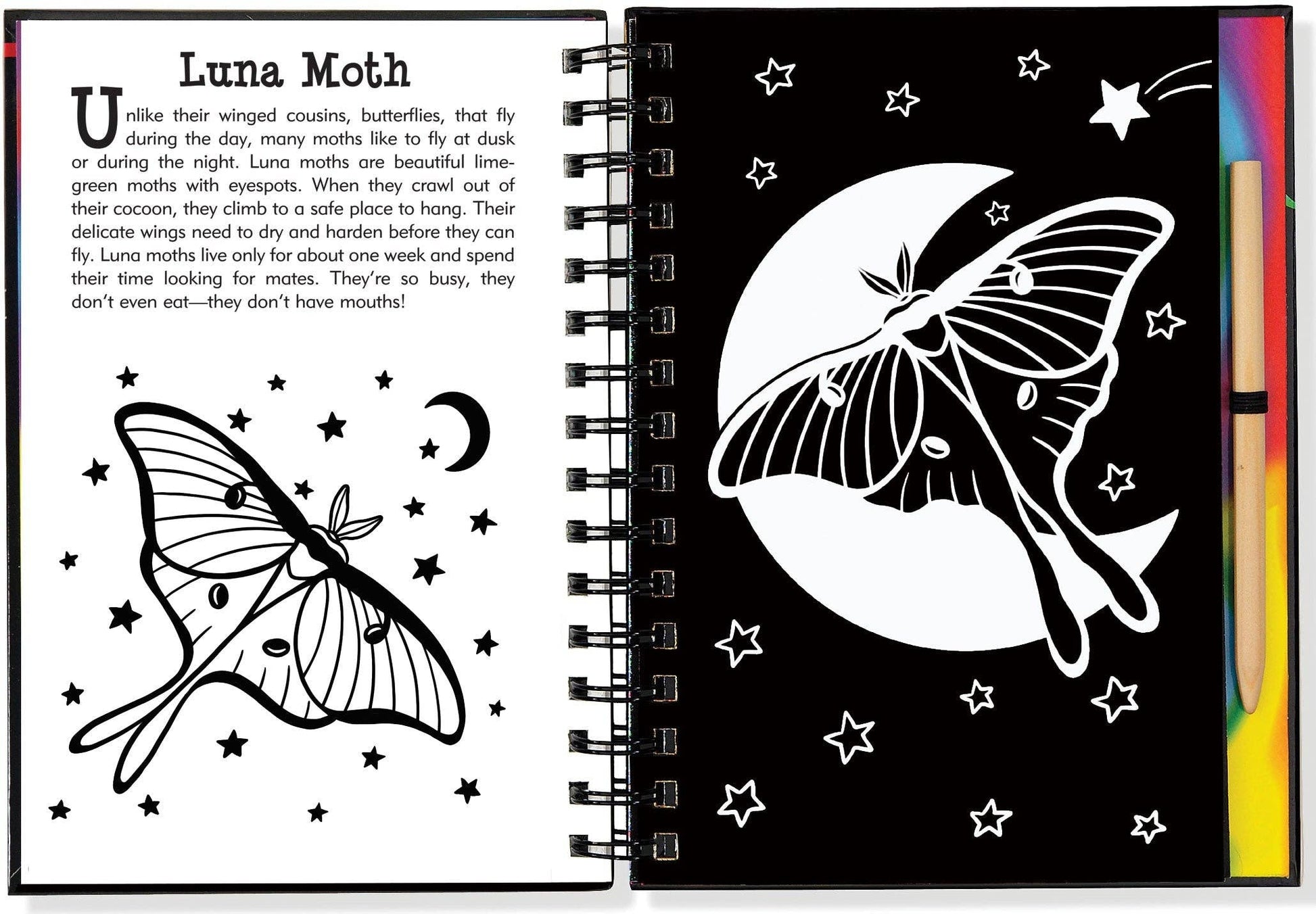 Scratch & Sketch™ Butterflies & Friends (Trace Along)