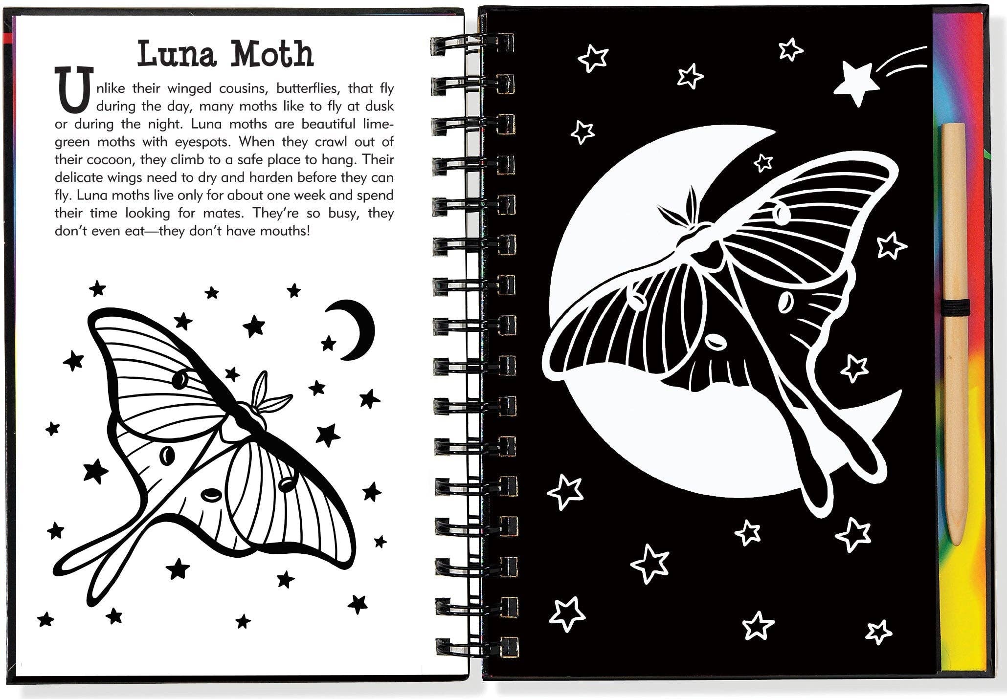 Scratch & Sketch™ Butterflies & Friends (Trace Along)